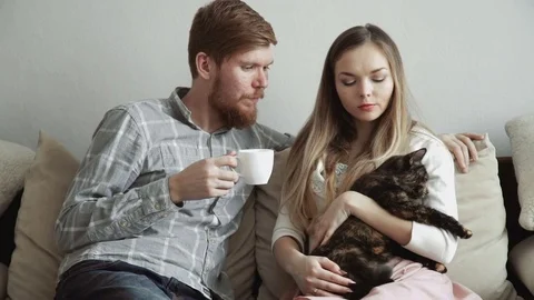 Couple is sitting on the couch sofa at home stroking a cat, Drink tea from a Stock Footage 74422782