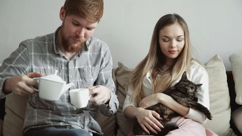 Couple is sitting on the couch sofa at home stroking a cat, Drink tea from a Stock Footage 74425903
