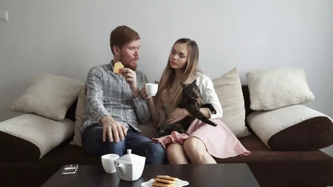Couple is sitting on the couch sofa at home stroking a cat, Drink tea from a Stock Footage 74433950
