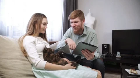 Couple is sitting on the couch sofa at home stroking a cat, and Look into the Stock Footage 74611940