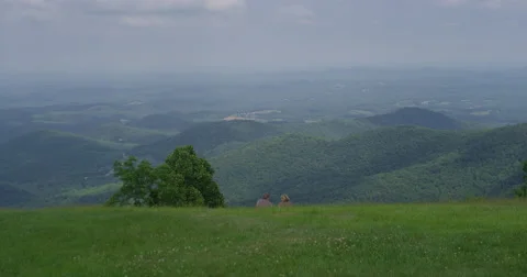 Couple sitting in a field looking at a view Stock Footage 51022017
