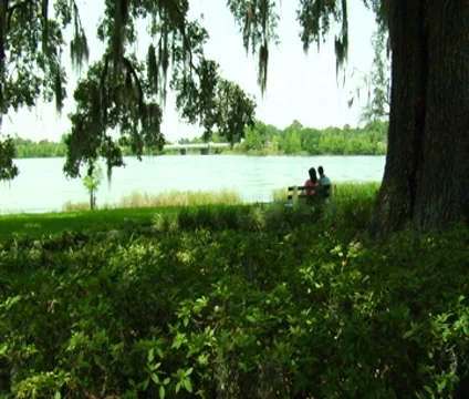 Couple Sitting On Park Bench Stock Footage 8693327