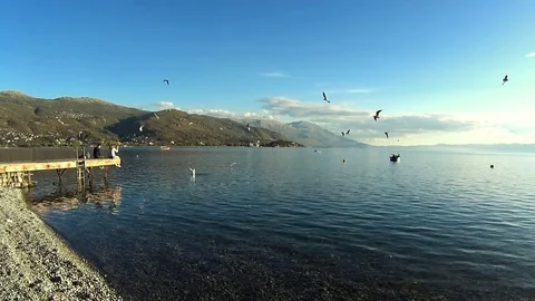 Couple sitting on pier while birds flying over Lake Ohrid, Macedonia Video stock 80944827