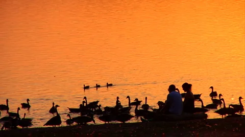 Couple Sitting at Sunset by the Lake Video stock 1065872