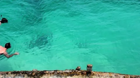 Couple Snorkeling 스톡 동영상 12107907