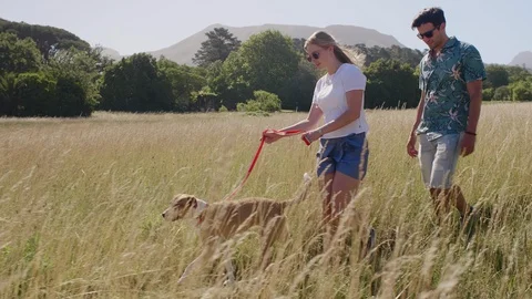 Couple spending quality time together with their pet dog Stock Footage 93325824