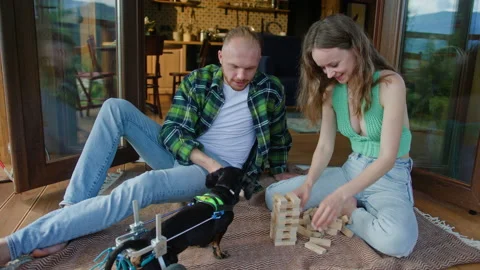 Couple spends evening stacking cubes near domestic dog Stock Footage 219625220