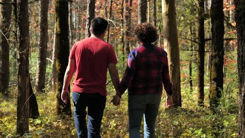 Couple spends time together walking in the forest. Video stock 142031320