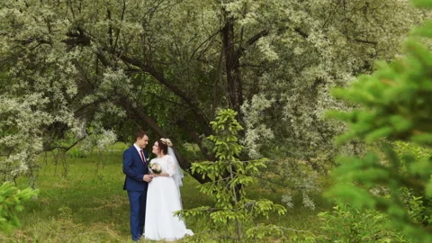 The couple stand in front of the tree Stock Footage 106356726