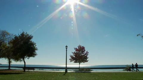 Couple with Stroller Stock Footage 31812600