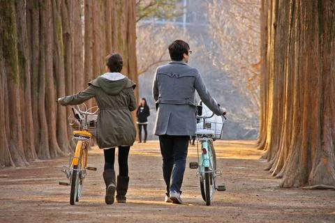 The couple strolling in forest. Stock Photos