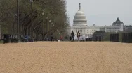Couple Strolls Deserted Mall During Cornavirus Closings, Dc, Stock Footage Stock Footage