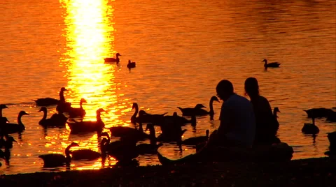 Couple at Sunset Ducks Slow Motion Pan Stock Footage 1065817