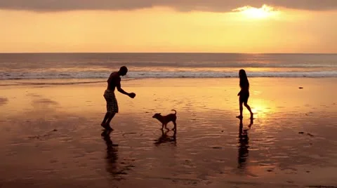 Couple at sunset Stock Footage 10796235