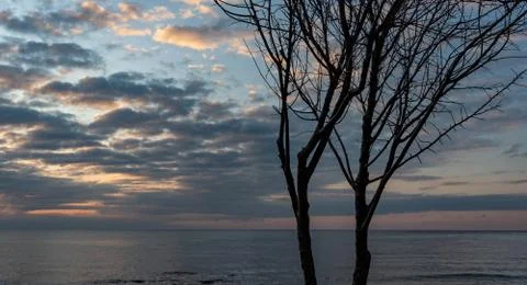 Couple at sunset Stock Photos