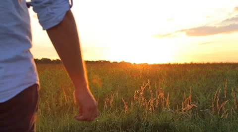 Couple taking hands together on summer meadow field over beautiful sunset. Stock Footage 66004540