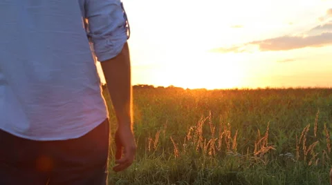 Couple taking hands together on summer meadow field over beautiful sunset. Vidéo 66004607