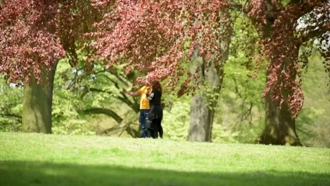 Couple Taking Selfie in Park Stock Footage 89613434