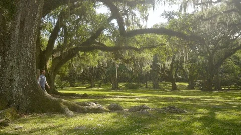 Couple Through Stunning Trees and Forest Stock Footage