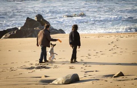 Couple Throw Object at Dog Stock Photos