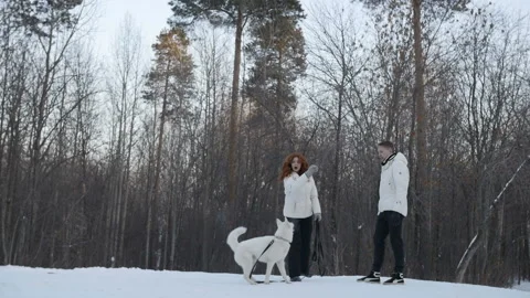 Couple throwing ball for dog Stock Footage 87356033