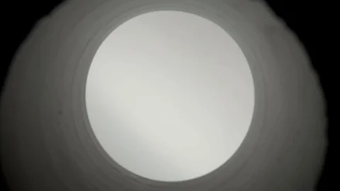 Couple Throwing Plastic Bottles Into Trash Bin, Sorting Non-Degradable Stock Footage 108699451