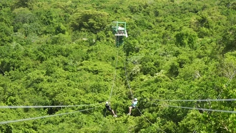 A couple of tourists having fun a on zip line above dense tropical rainforest Stock Footage 206397327