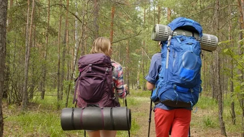 Couple of tourists walking through forest Stock Footage 118534860