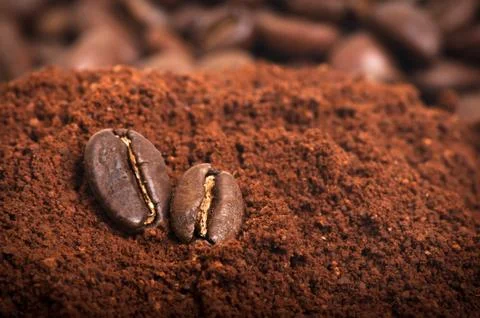 A couple of two coffee beans Foto stock