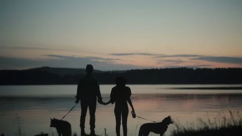 Couple with two dogs on beach Stock Footage 77963499