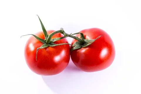Couple Two Tomatoes Connected Stems Fresh Vegetables Cooking Ingredient Iso.. Stock Photos