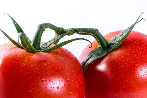 Couple Two Tomatoes Connected Stems Fresh Vegetables Cooking Ingredient Iso.. Foto stock