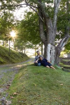 Couple under tree in summer Stock Photos
