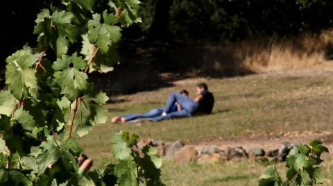 Couple in a vineyard Stock Footage 850289