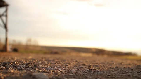 Couple Waking Rack focus Vídeo Stock 46601566