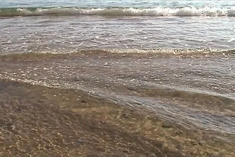 Couple walk in beach Video stock 117667