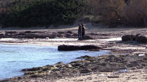 Couple Walk On Beach Stock Footage 71624221