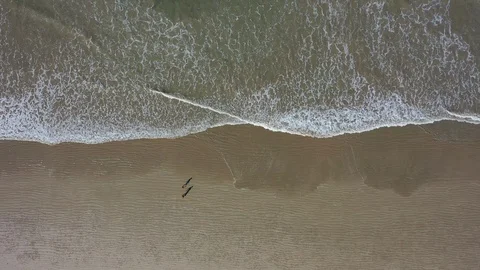 Couple walk on beach Stock Footage 123684761