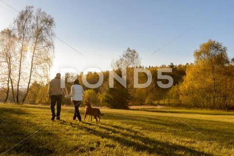 Couple walk dog autumn sunset countryside meadow Stock Photos