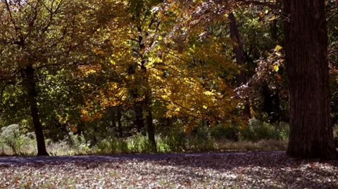 Couple on a walk Video stock 8828897