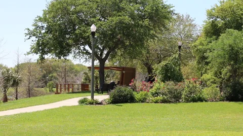 Couple walking 2 tan pugs in park on a sunny spring day Video stock 36637728