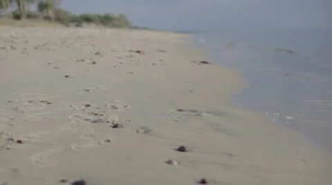Couple walking along beach Stock Footage 61881921