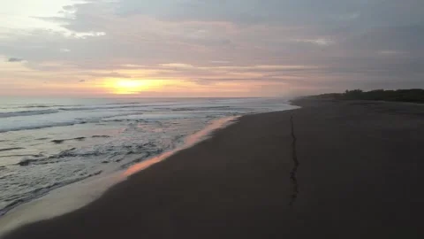 Couple walking along the beach while sunset 動画素材 254342924