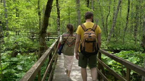 Couple walking along a forest path Stock Footage 109343800