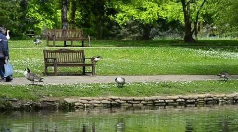 A couple walking along the riverside Stock Footage 11076906