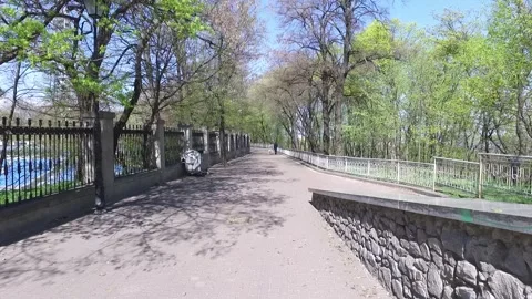 Couple walking along scenic tree lined park path Stock Footage 331889720