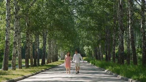 Couple Walking and Talking in a Park Stock Footage 112860688
