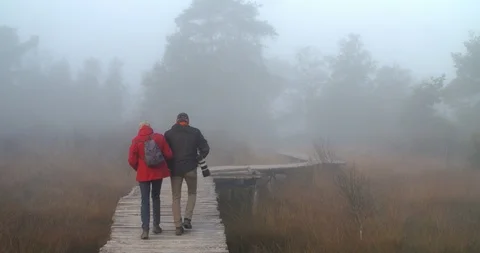 Couple walking bat bridge in the mist at wetland National Park Netherlands Stock Footage 97029049
