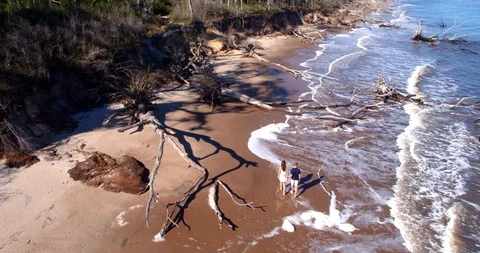 Couple Walking Beach and Fallen Trees, Aerial Overhead, Slow Motion Vídeo Stock 105378968