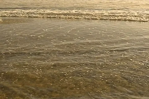 Couple walking in beach Video stock 118153